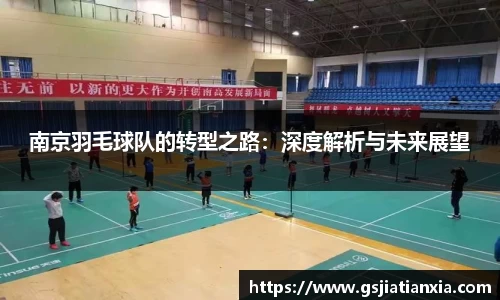 南京羽毛球队的转型之路：深度解析与未来展望